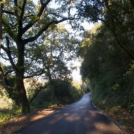 Casa de hóspedes Quinta De Sao Tadeu 4*