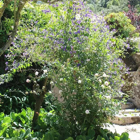 Quinta De Sao Tadeu Sintra