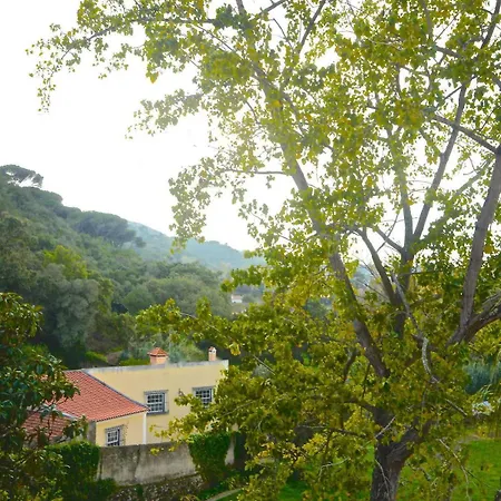 Quinta De Sao Tadeu Guest house