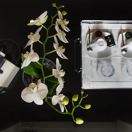 Quinta De Sao Tadeu Sintra