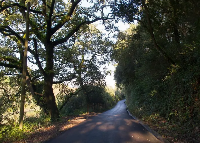 Pensjonat Quinta De Sao Tadeu 4*